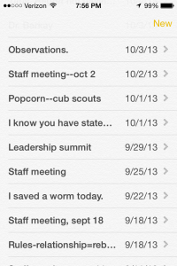 My iPhone's notes section is filled with everything from staff meeting minutes to grocery lists. There are quotes and quips and quiet thoughts.